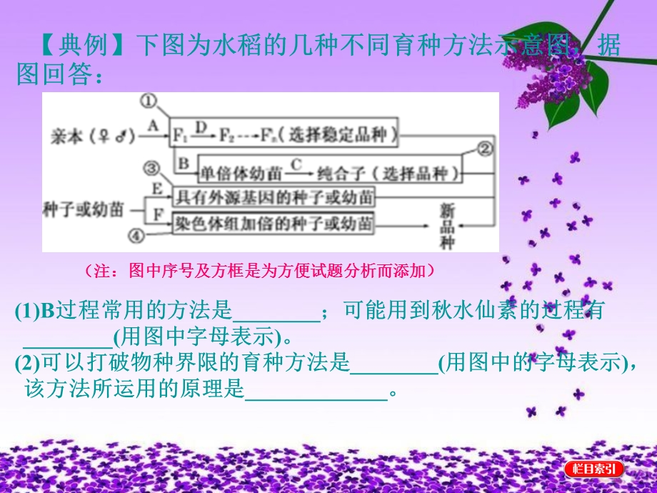 2016届高三生物一轮复习课件：重点强化 规范增分的6类非选择题之（三） .ppt_第3页