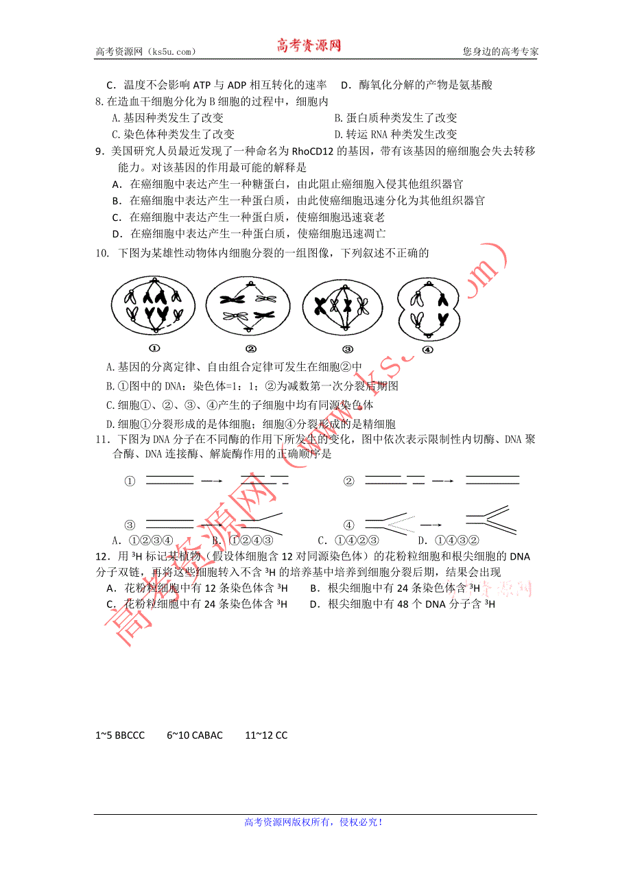 11-12学年高三生物复习 生物精练12.doc_第2页