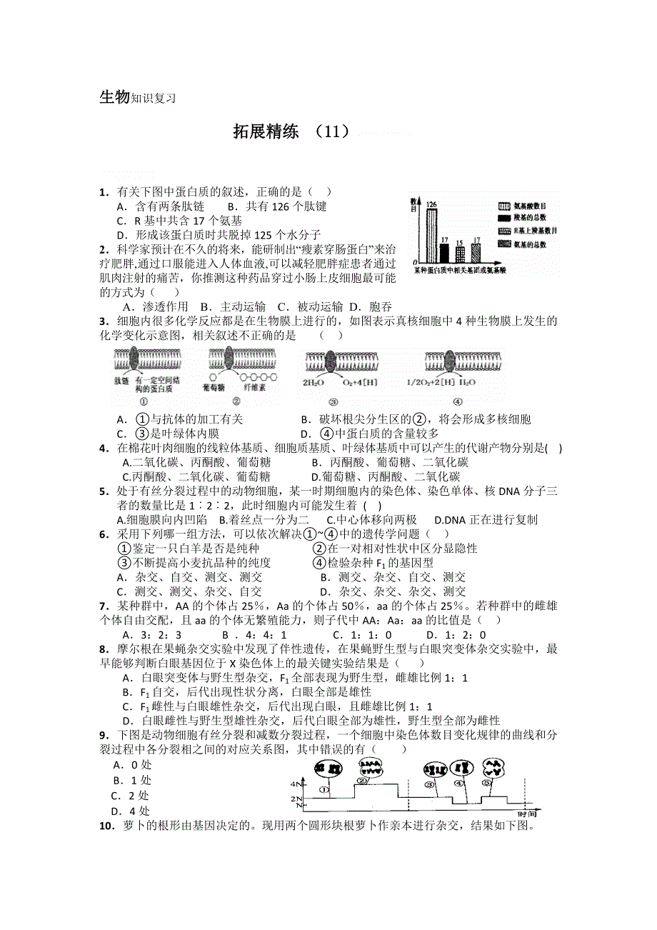 11-12学年高三生物复习：拓展精练11.doc_第1页