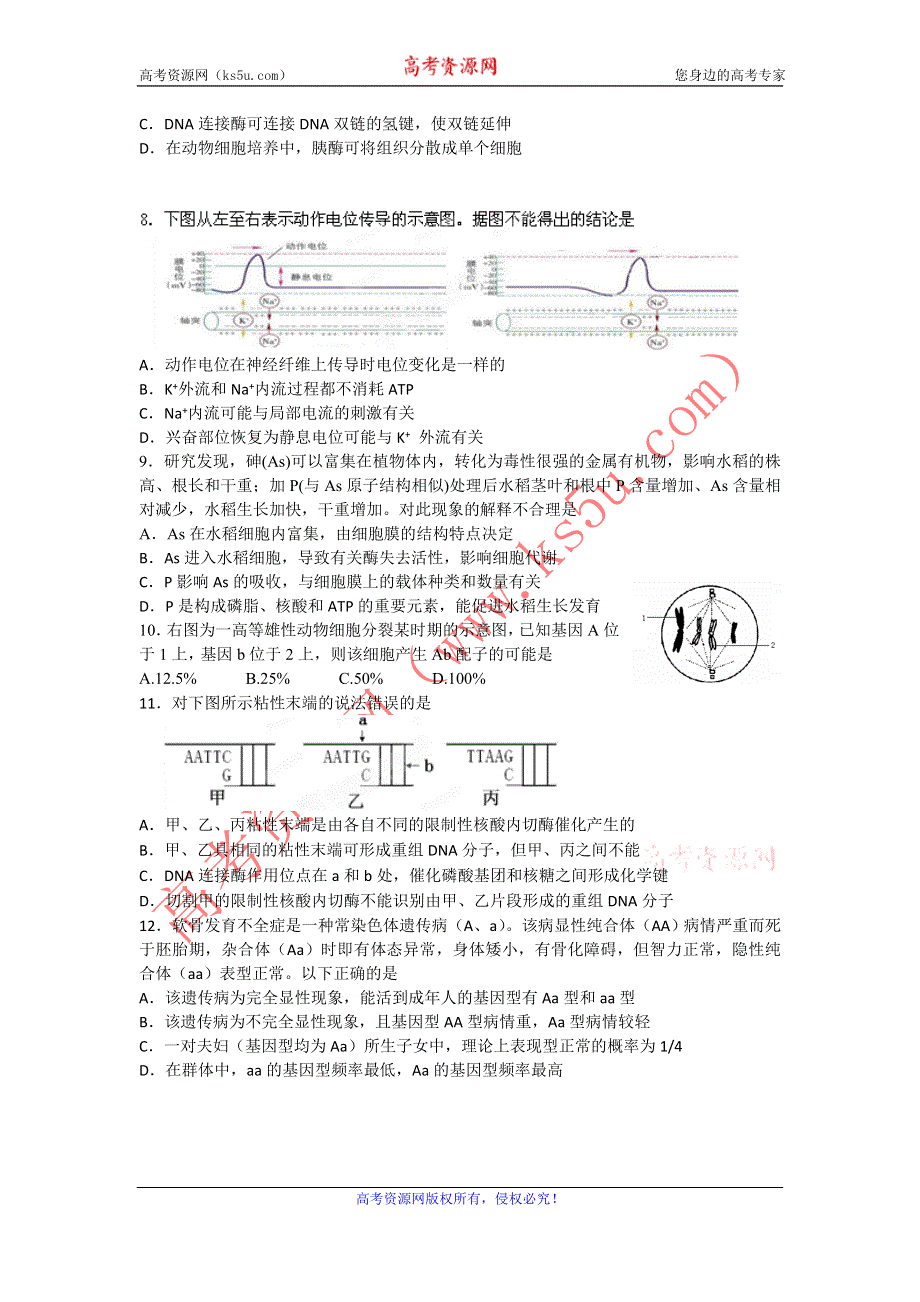 11-12学年高三生物复习 生物精练21.doc_第2页