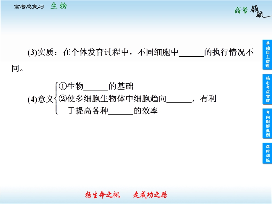 2013届高三生物一轮复习课件：6.2细胞的分化、衰老、凋亡和癌变（人教版必修1）.ppt_第3页