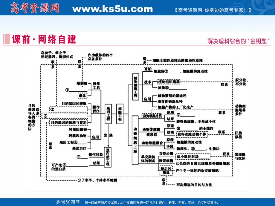 2020届高考艺考生物复习课件：专题九 第15讲 基因工程和细胞工程 .ppt_第2页