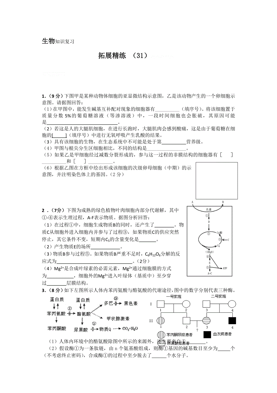 11-12学年高三生物复习：拓展精练31.doc_第1页