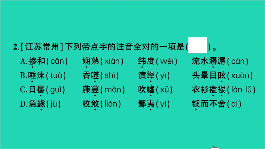 2021小升初语文归类冲刺 专题一 拼音与汉字 专项二 字音、字义、字形课件.ppt_第3页