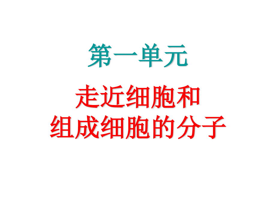 2013届高三生物复习课件 核酸、糖类、脂质.ppt_第1页