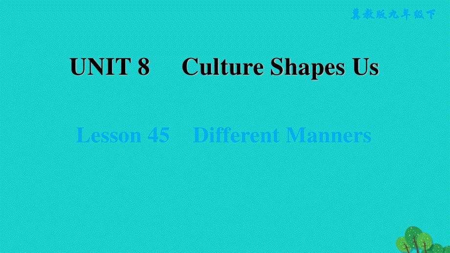 2022九年级英语下册 Unit 8 Culture Shapes Us Lesson 45 Different Manners习题课件（新版）冀教版.ppt_第1页