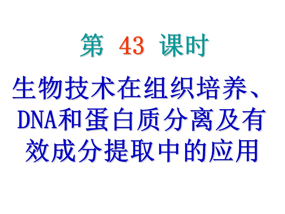 2013届高三生物复习课件生物技术在组织培养、DNA和蛋白质分离.ppt_第2页