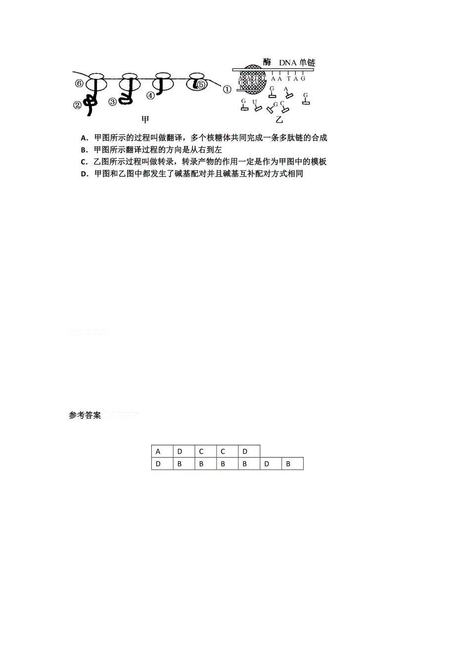 11-12学年高三生物复习：拓展精练40.doc_第3页