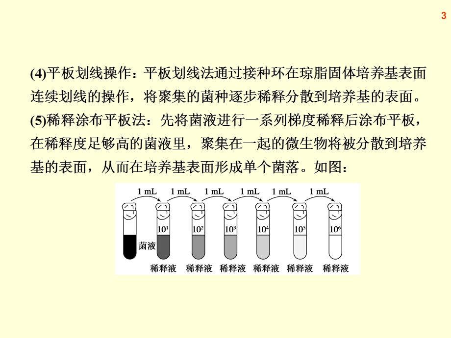 2013届高三生物复习课件专题十八微生物的培养、生物技术在食品加工上的应用.ppt_第3页