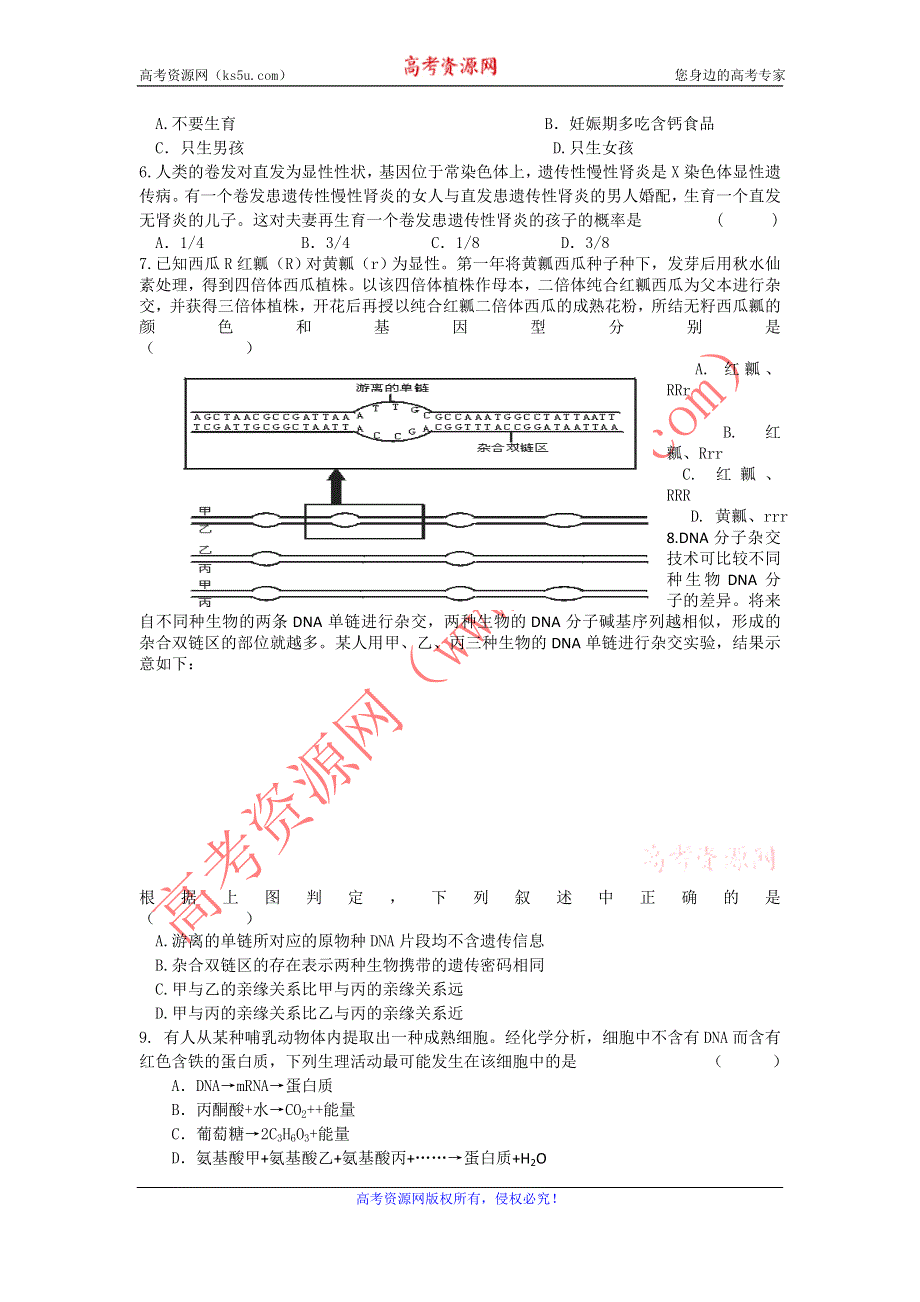 11-12学年高三生物复习：拓展精练44.doc_第2页