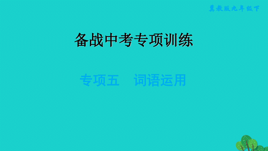 2022九年级英语下册 专项五 词语运用习题课件（新版）冀教版.ppt_第1页