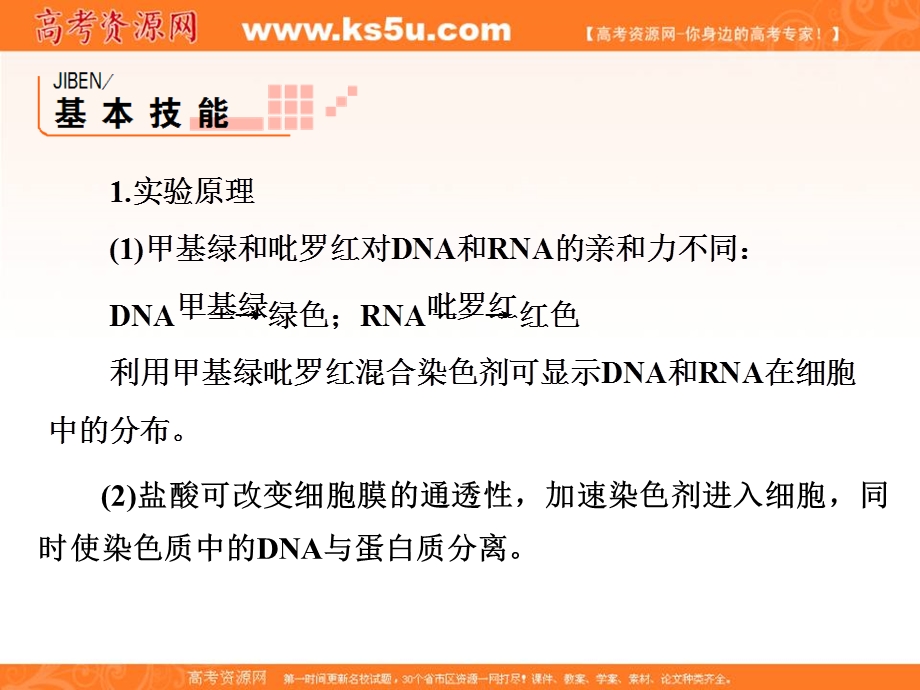 2013届高三生物（人教版）实验专项突破课件3 观察DNA和RNA在细胞中的分布.ppt_第2页