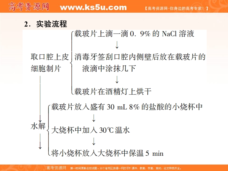 2013届高三生物（人教版）实验专项突破课件3 观察DNA和RNA在细胞中的分布.ppt_第3页