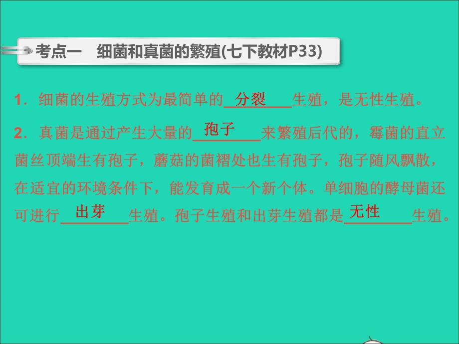 2022中考生物 第9讲 细菌、真菌的繁殖 植物的生殖和发育（精讲本）课件.ppt_第3页