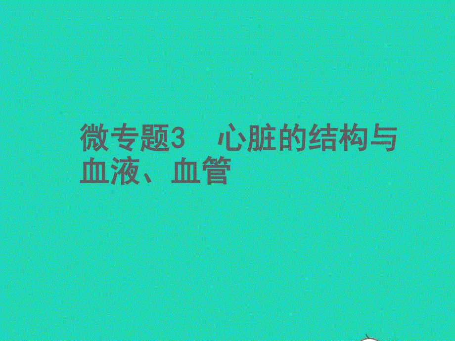 2022中考生物 微专题3 心脏的结构与血液、血管（精讲本）课件.ppt_第1页