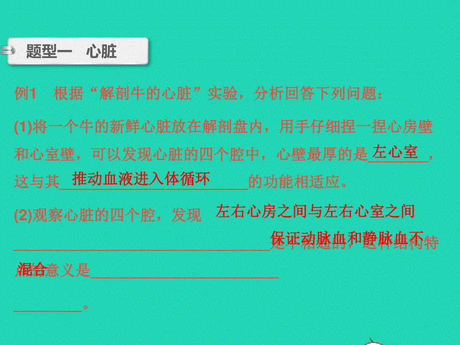 2022中考生物 微专题3 心脏的结构与血液、血管（精讲本）课件.ppt_第2页