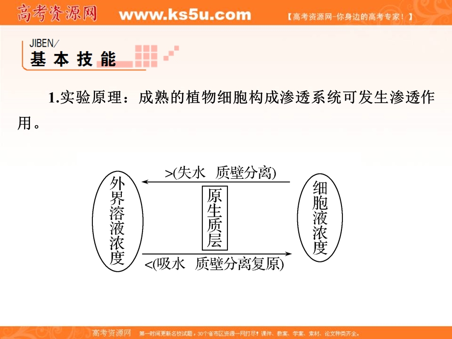 2013届高三生物（人教版）实验专项突破课件5 观察植物细胞的质壁分离与复原.ppt_第2页