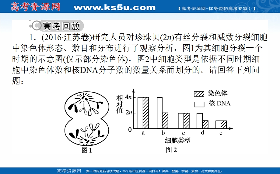 2017届高考生物二轮复习课件：专题五 细胞的增殖和受精作用 .ppt_第2页