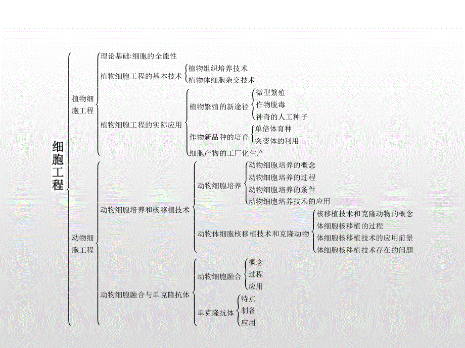 2019-2020学年人教版生物选修三课件：2专题 专题整合 .pptx_第2页