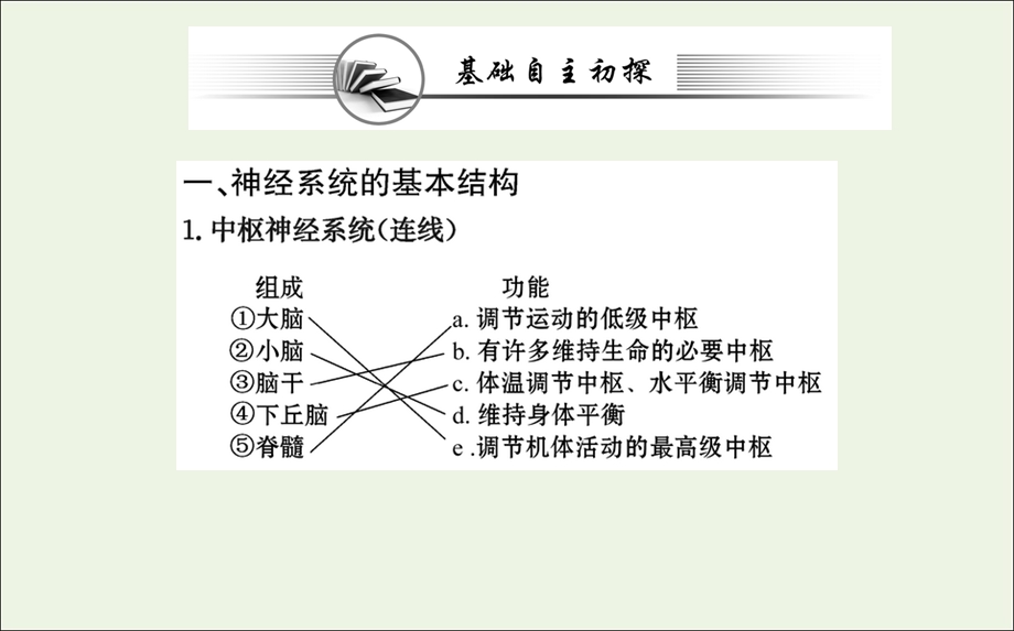 2021-2022学年新教材高中生物 第2章 神经调节 第1节 神经调节的结构基础课件 新人教版选择性必修1.ppt_第3页