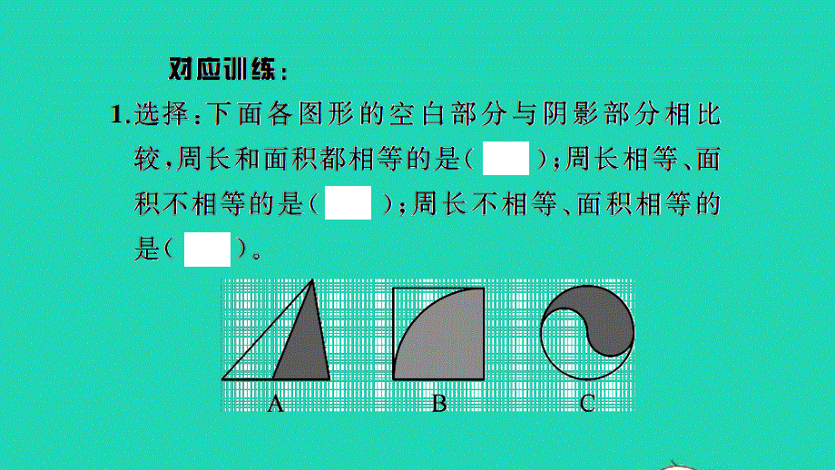 2021小考数学致高点 专题六 图形与几何第17课时 平面图形的周长和面积习题课件.ppt_第2页