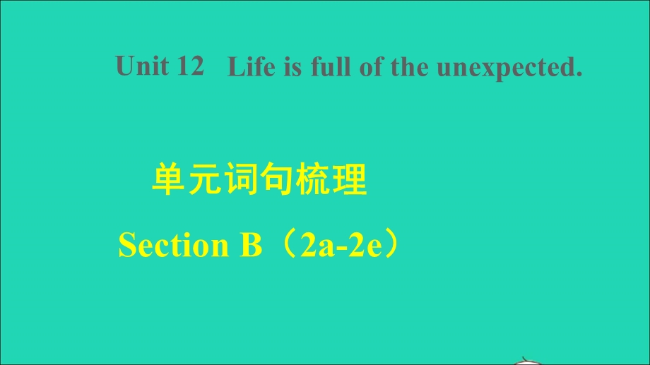 2022九年级英语全册 Unit 12 Life is full of the unexpected词句梳理Section B（2a-2e）课件（新版）人教新目标版.ppt_第1页