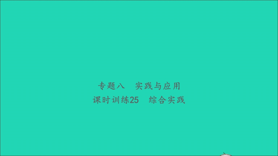 2021小考数学致高点 专题八 实践与应用课时训练25 综合实践习题课件.ppt_第1页