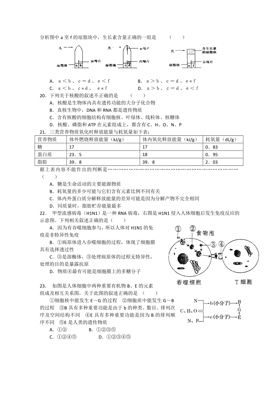 上海市崇明中学2012届高三上学期期中考试试卷生物试题（含答案）.doc_第3页