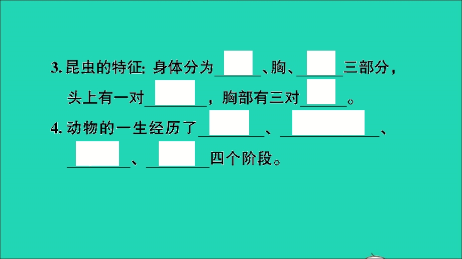 2021小考科学满分特训 第一部分 专项复习 专题训练2 动物课件.ppt_第3页