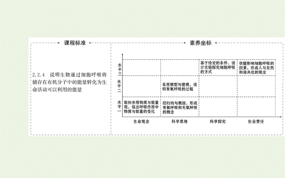 2021-2022学年新教材高中生物 第5章 细胞的能量供应和利用 第3节 细胞呼吸的原理和应用课件 新人教版必修第一册.ppt_第2页