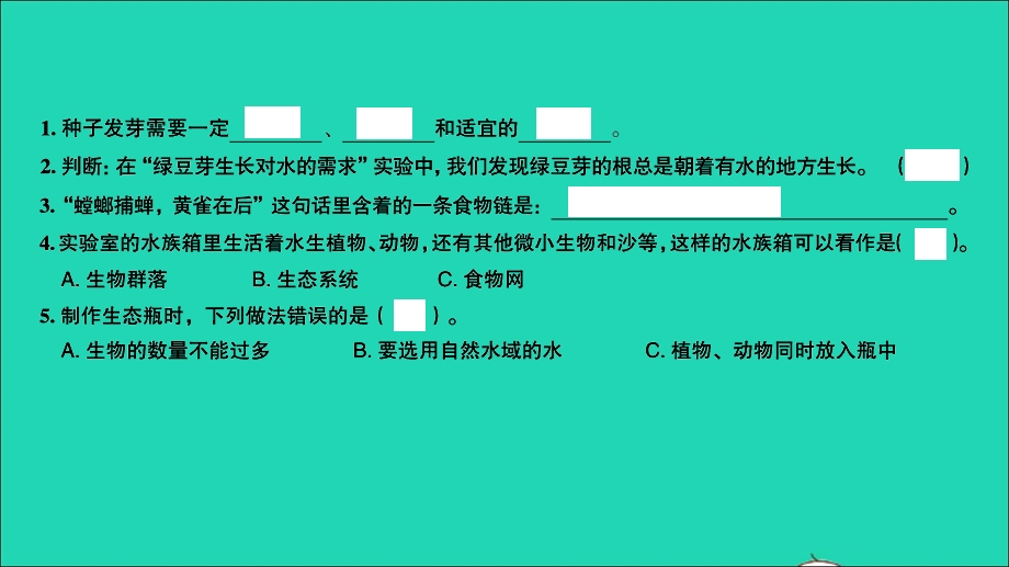 2021小考科学致高点 第一部分 生命科学 专题三 生物与环境和微小世界课件.ppt_第2页