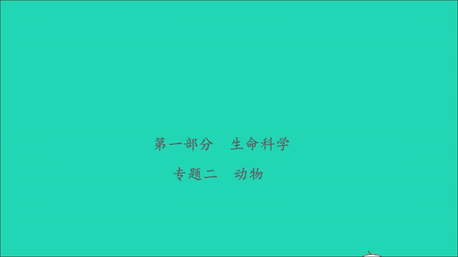 2021小考科学致高点 第一部分 生命科学 专题二 动物课件.ppt_第1页