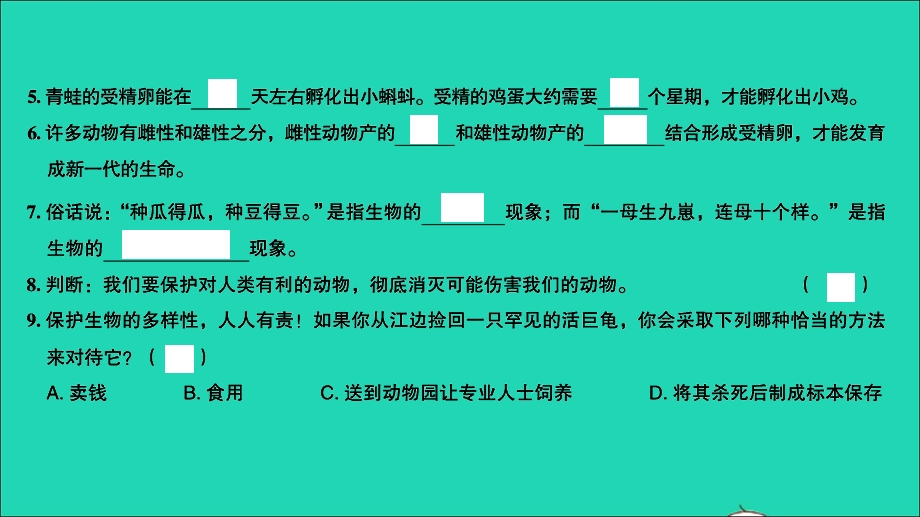 2021小考科学致高点 第一部分 生命科学 专题二 动物课件.ppt_第3页