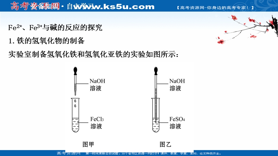 2020-2021学年化学新教材苏教版第二册课件：9-2-2 铁及其化合物转化反应条件影响的探究 .ppt_第3页