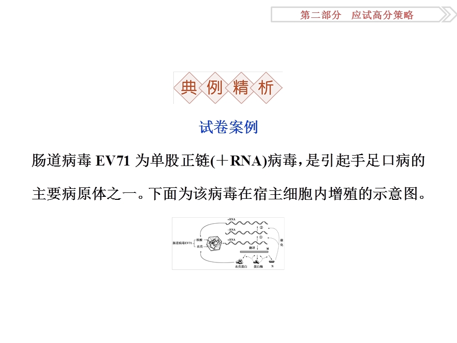 2016届高三生物二轮复习课件：应试高分策略 五、信息给予类 .ppt_第3页