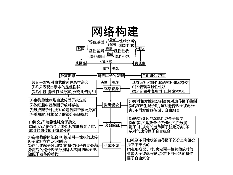 2015-2016学年高一生物人教版必修2课件：第1章　遗传因子的发现 章末整合 .ppt_第3页