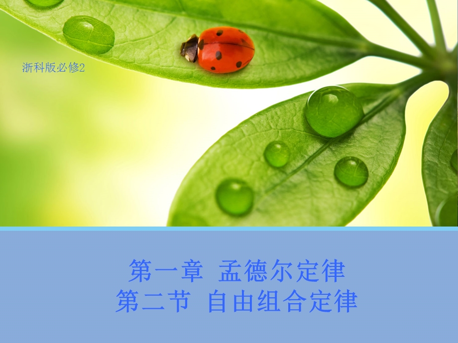 2015-2016学年高一生物浙科版必修2课件：1.ppt_第1页