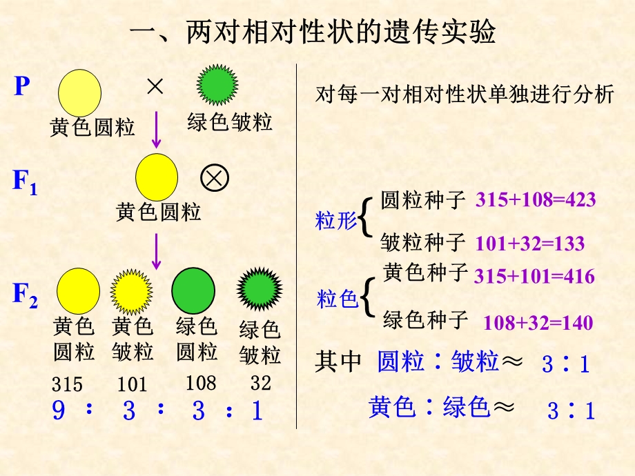 2015-2016学年高一生物浙科版必修2课件：1.ppt_第3页