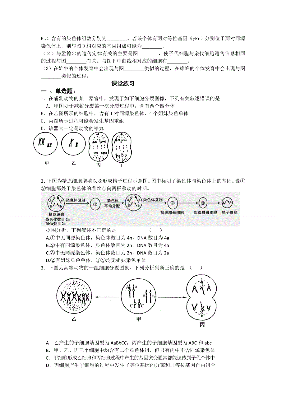 一轮复习（减数分裂、受精作用）.doc_第3页