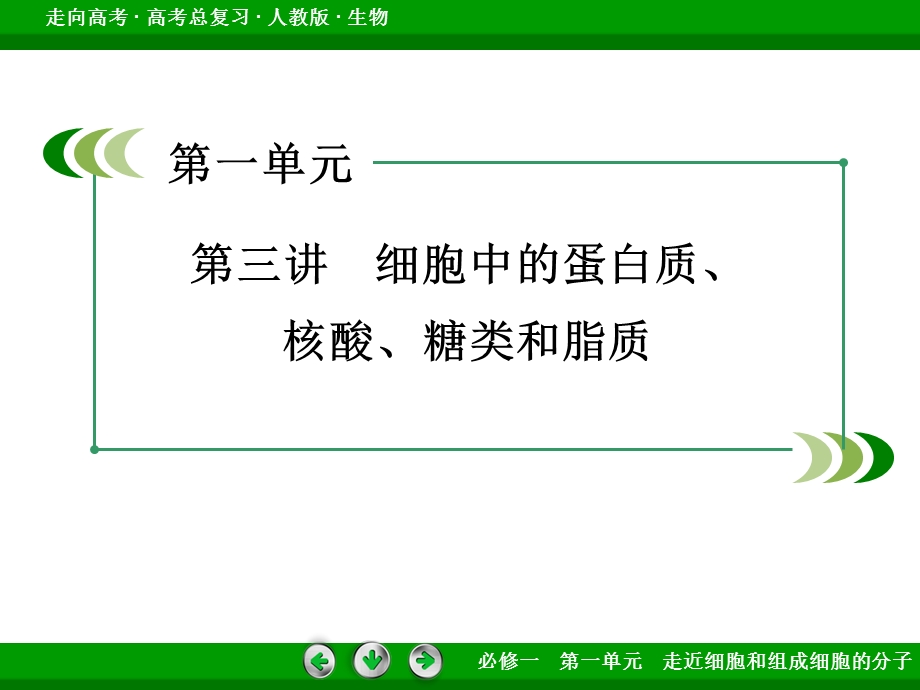 2016届高考生物一轮复习课件：必修1 第1单元 第3讲细胞中的蛋白质、核酸、糖类和脂质.ppt_第3页