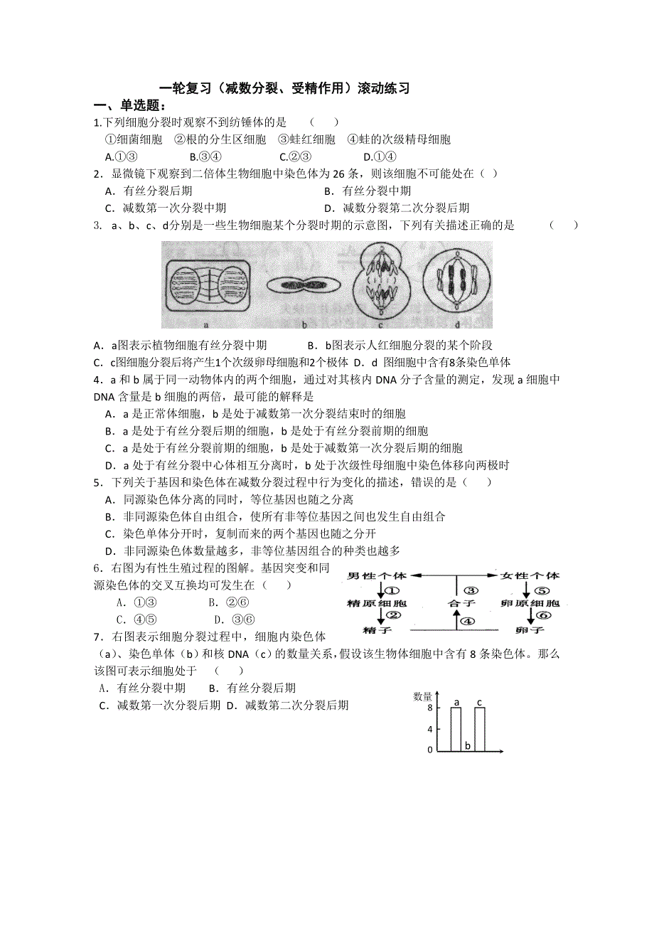 一轮复习（减数分裂、受精作用）滚动练习.doc_第1页