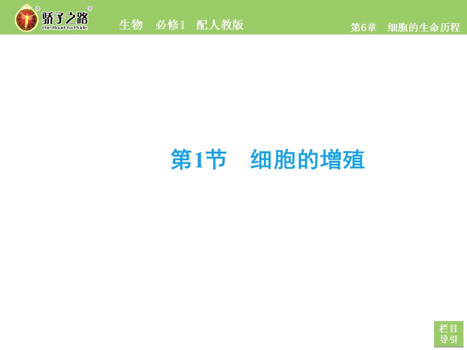 2020年人教版高中生物必修1 课件 第六章细胞的生命历程 第6章　第1节 WORD版.ppt_第2页