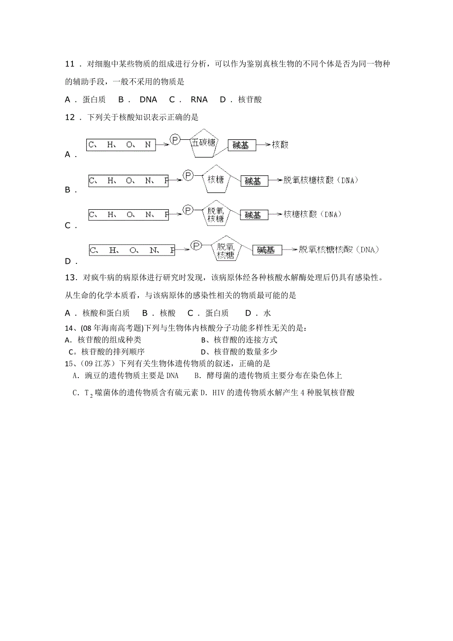 一轮生物必修1第2章第3节遗传信息的携带者----核酸.doc_第3页