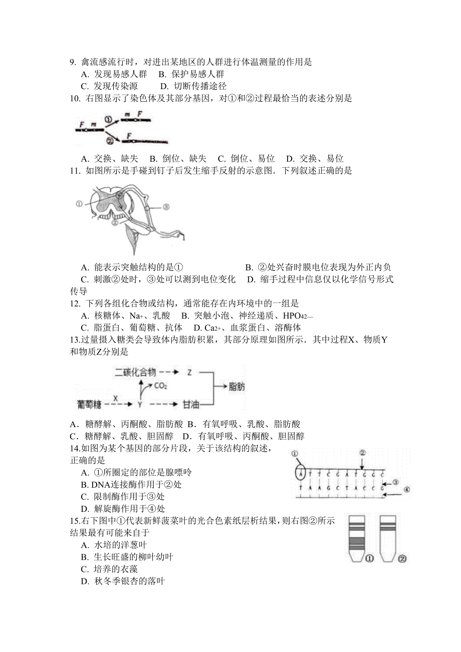 上海市徐汇区2017届高三4月模拟（二模）生物试题 WORD版含答案.doc_第2页