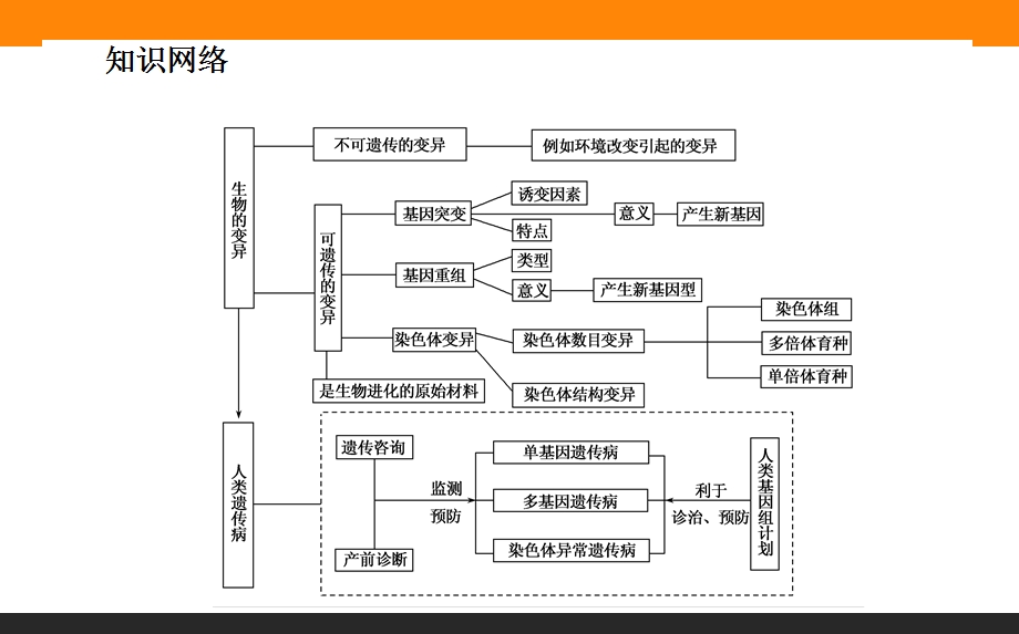 2015-2016学年高中生物人教版必修2课件：5章《基因突变及其他变异》章末 .ppt_第2页