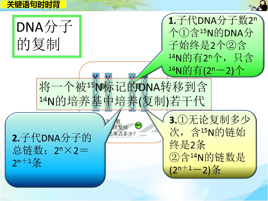 2016届高考生物（全国通用）总复习配套课件：关键语句时时背10.ppt_第2页