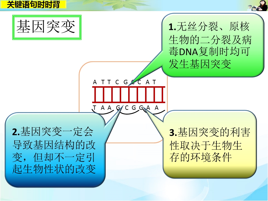 2016届高考生物（全国通用）总复习配套课件：关键语句时时背11.ppt_第2页