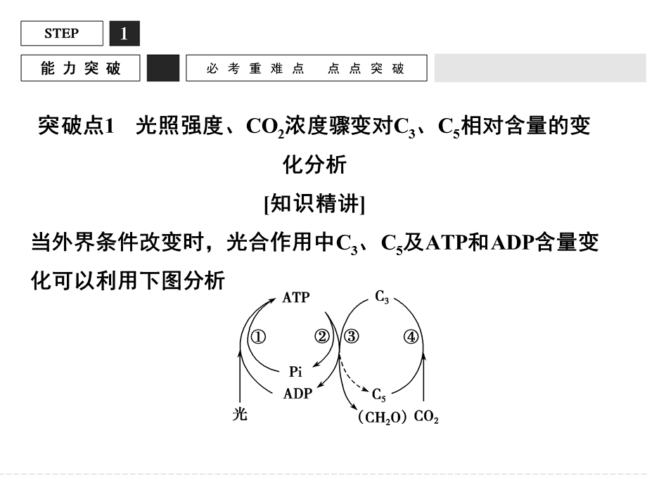 2016届高考生物（全国通用）总复习配套课件：能力提升案4 影响光合作用的环境因素及相关曲线分析.ppt_第2页