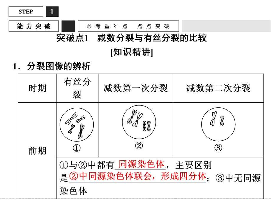 2016届高考生物（全国通用）总复习配套课件：能力提升案5 有丝分裂与减数分裂的比较及减数分裂与可遗传变异的关系.ppt_第2页