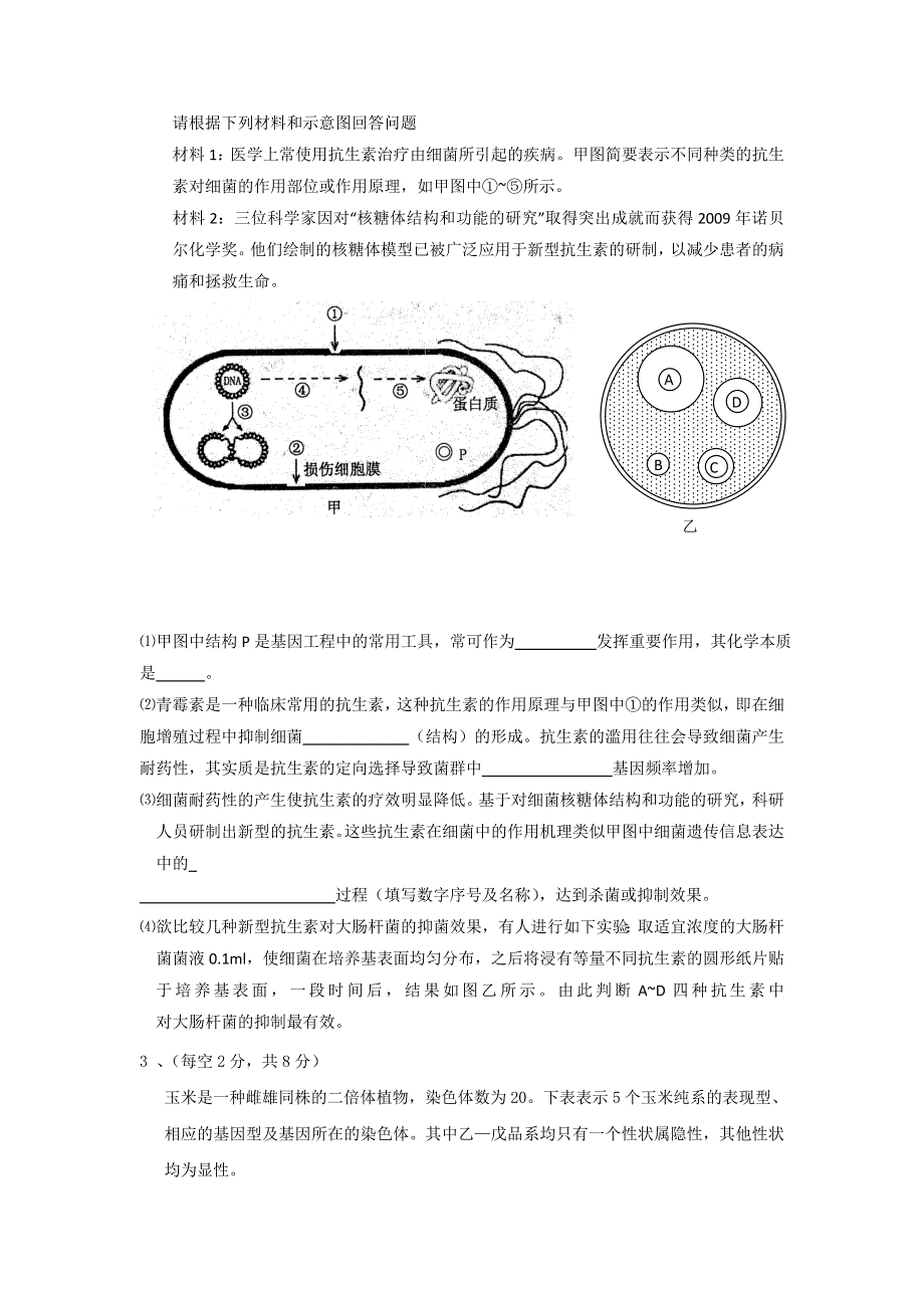 11-12高考生物冲刺复习：生物精练1.doc_第2页